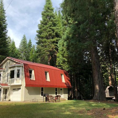 فيلا Carriage House At Yosemite فِش كامب المظهر الخارجي الصورة