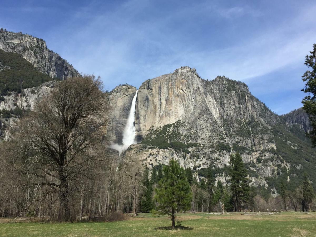 فيلا Carriage House At Yosemite فِش كامب المظهر الخارجي الصورة